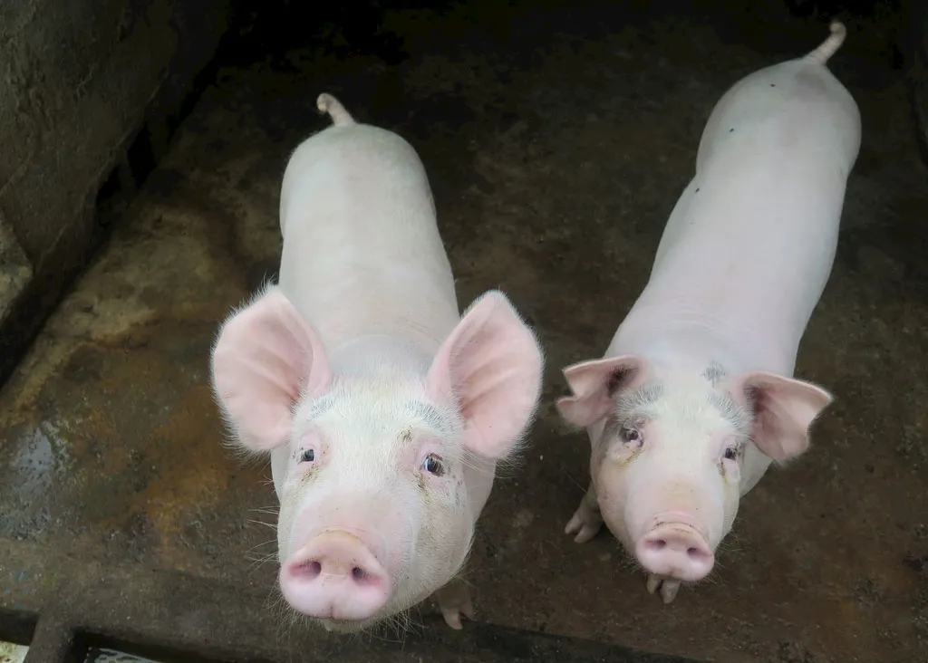 19193d6e04.png 微信图片_20210819142250.png
