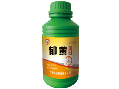 郁黄3.jpg