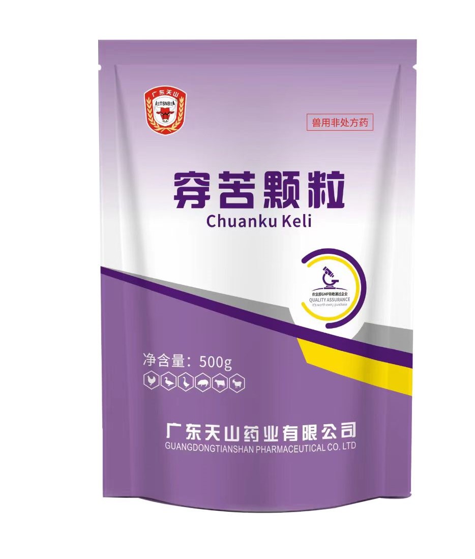 穿苦颗粒2.jpg