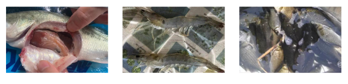 1c11b5dc21.png image.png
