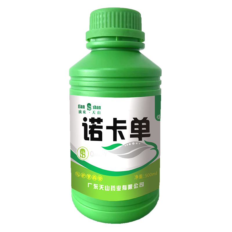 未标题-1.jpg