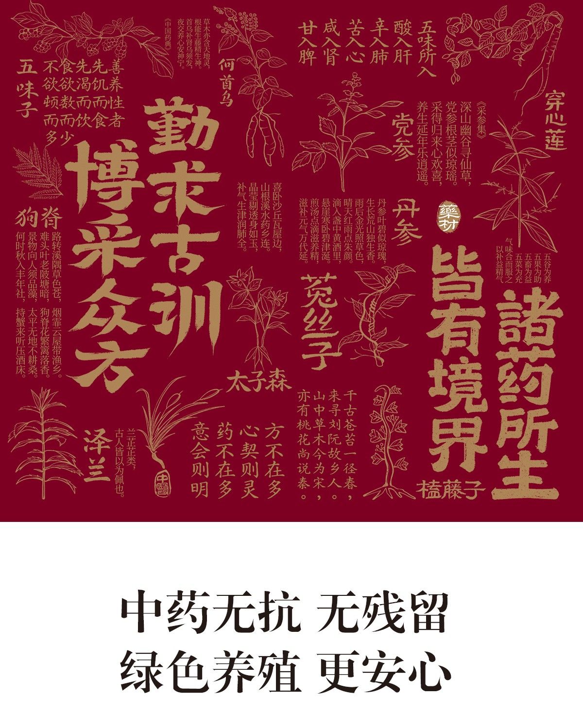 ce3e8c745a.jpg