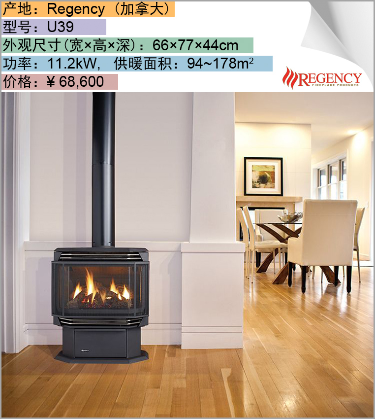 封闭式燃气壁炉